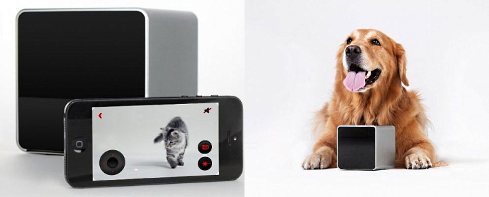 Petcube: Видеоняня для домашних животных